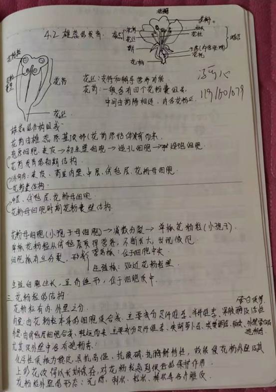 微信图片_20200627155159