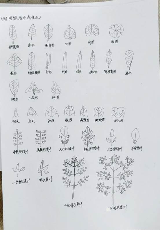 c43a45b0c339c37c8102cb9e3d5091c