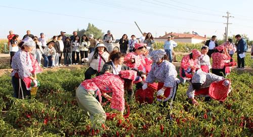 说明: https://www.htxy.edu.cn/__local/5/A8/A6/CA07B3B423CCF8D4D9102A758A7_2C5593B0_303A2.jpg